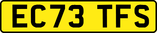 EC73TFS