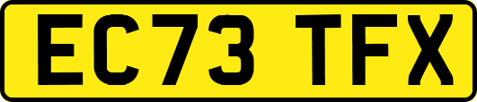EC73TFX