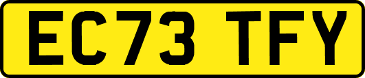 EC73TFY