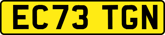 EC73TGN