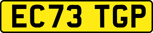 EC73TGP