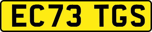 EC73TGS