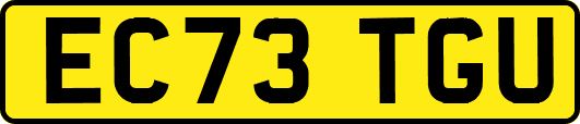 EC73TGU