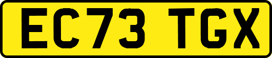 EC73TGX