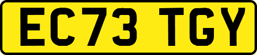 EC73TGY