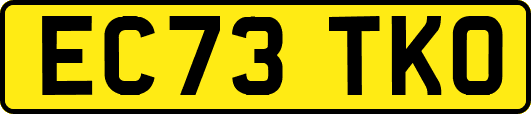 EC73TKO