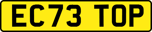 EC73TOP