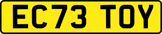 EC73TOY