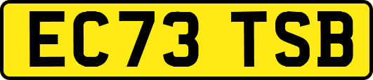 EC73TSB