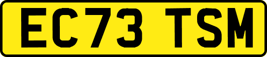 EC73TSM