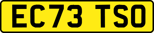 EC73TSO