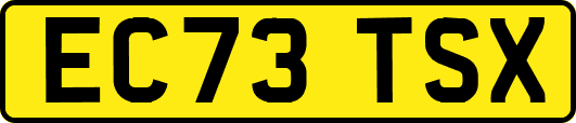 EC73TSX