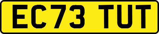 EC73TUT