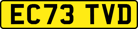 EC73TVD