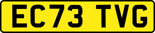 EC73TVG