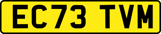 EC73TVM