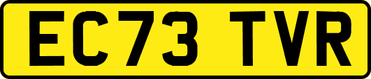 EC73TVR