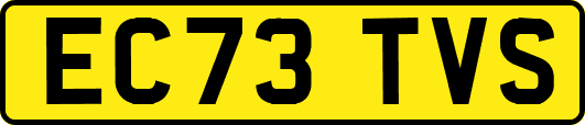 EC73TVS