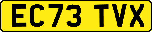 EC73TVX
