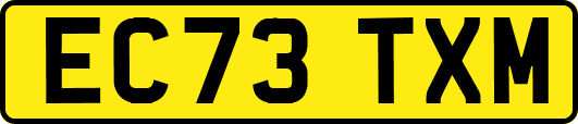 EC73TXM