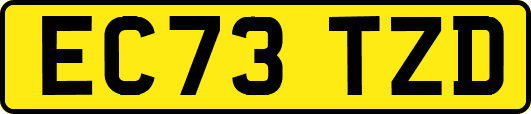 EC73TZD