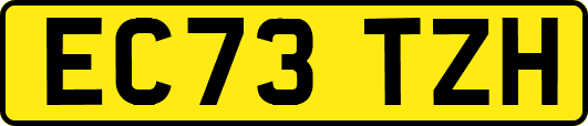 EC73TZH