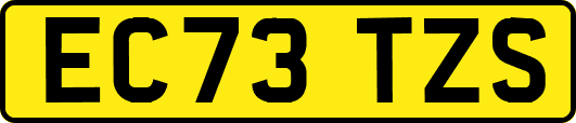 EC73TZS