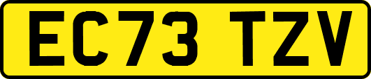 EC73TZV