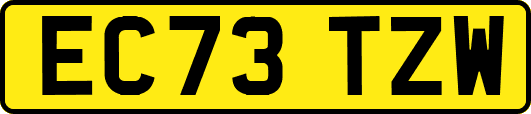 EC73TZW