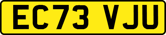 EC73VJU