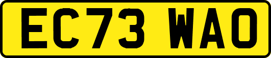 EC73WAO