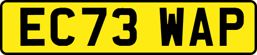 EC73WAP