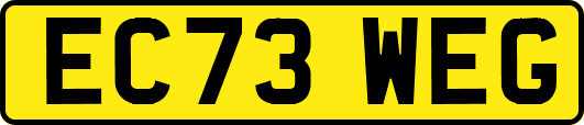 EC73WEG