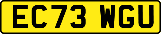 EC73WGU