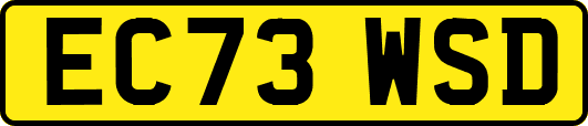 EC73WSD