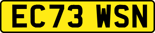 EC73WSN