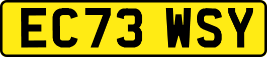 EC73WSY