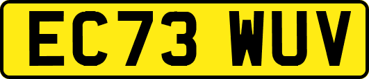 EC73WUV