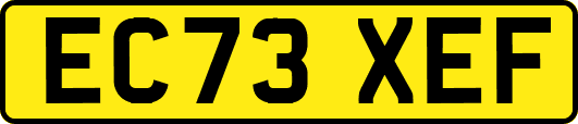 EC73XEF