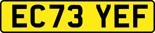 EC73YEF