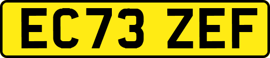 EC73ZEF
