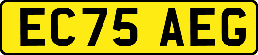 EC75AEG