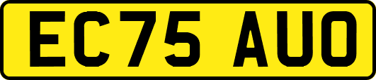 EC75AUO