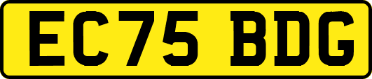 EC75BDG