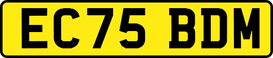 EC75BDM