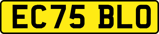 EC75BLO