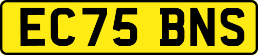 EC75BNS