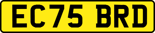 EC75BRD