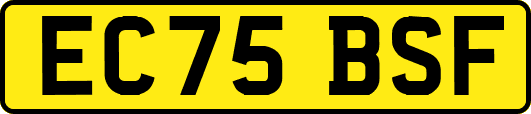 EC75BSF