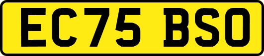 EC75BSO